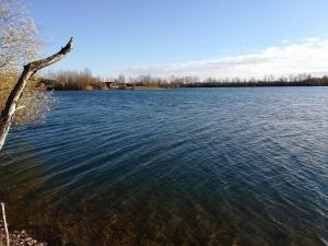 23546959 1640498572681276 1552330459 O