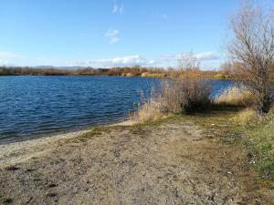 23555066 1640499056014561 642732361 O