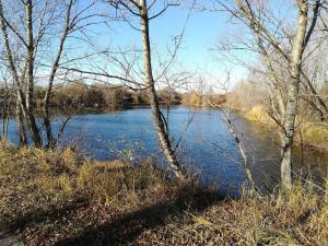 23555299 1640499382681195 737927663 O