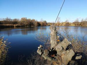 23555423 1640499496014517 366260083 O